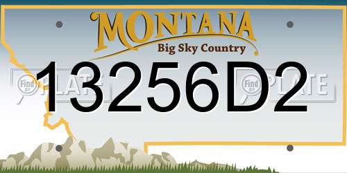 13256D2 Montana License Plate