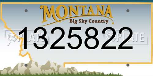 1325822 Montana License Plate