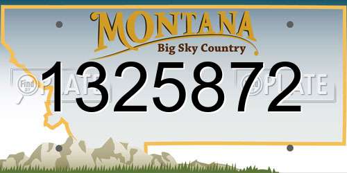 1325872 Montana License Plate
