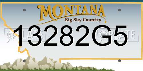 13282G5 Montana License Plate