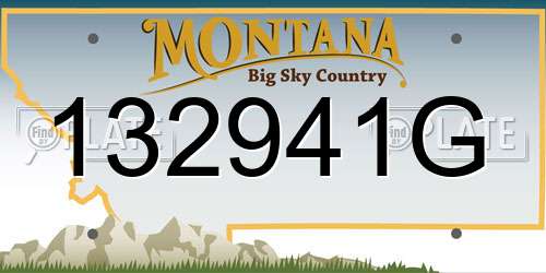 132941G Montana License Plate