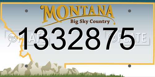 1332875 Montana License Plate