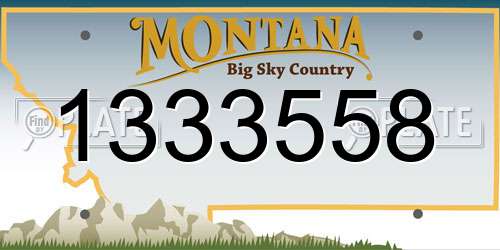 1333558 Montana License Plate