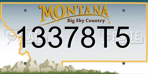 13378T5 Montana License Plate