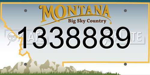 1338889 Montana License Plate