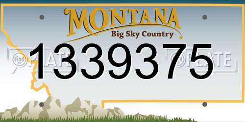 1339375 Montana License Plate