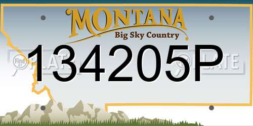 134205P Montana License Plate