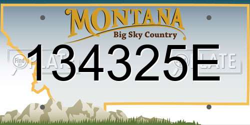 134325E Montana License Plate
