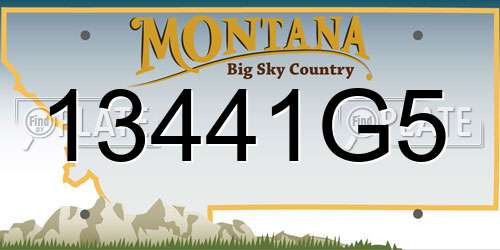 13441G5 Montana License Plate