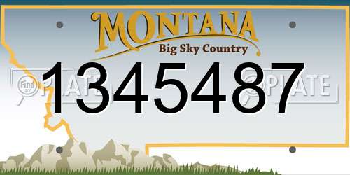 1345487 Montana License Plate