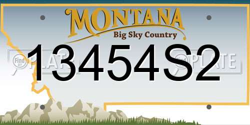 13454S2 Montana License Plate