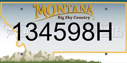 134598H Montana License Plate