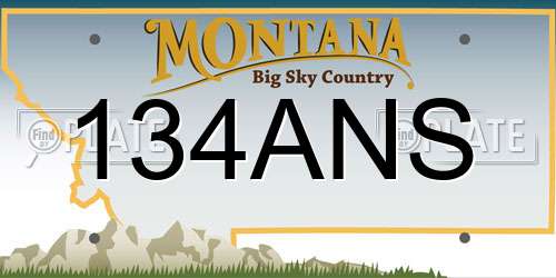 134ANS Montana License Plate