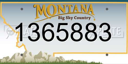 1365883 Montana License Plate