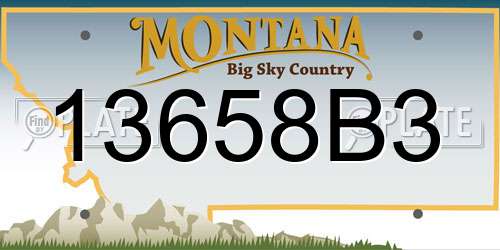 13658B3 Montana License Plate