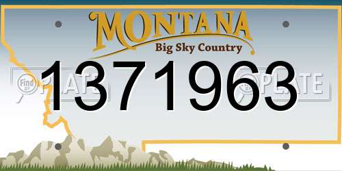 1371963 Montana License Plate