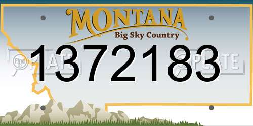 1372183 Montana License Plate