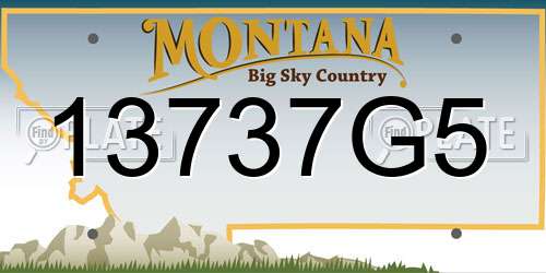 13737G5 Montana License Plate