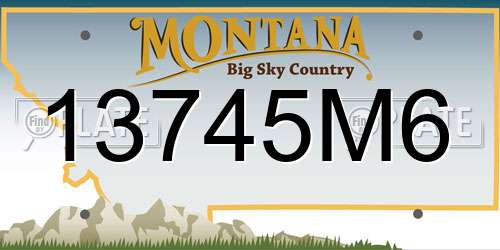 13745M6 Montana License Plate