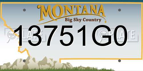 13751G0 Montana License Plate