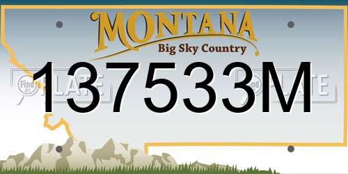 137533M Montana License Plate