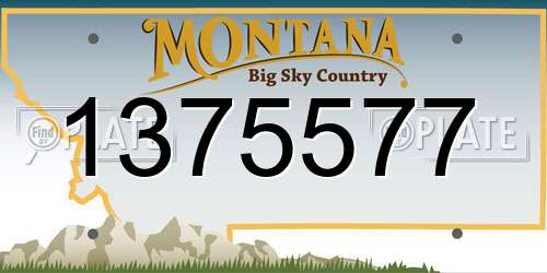 1375577 Montana License Plate