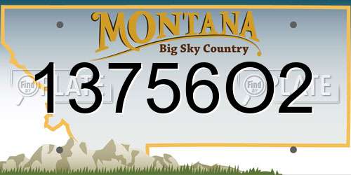 13756O2 Montana License Plate