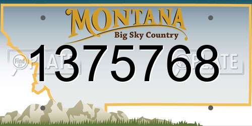 1375768 Montana License Plate