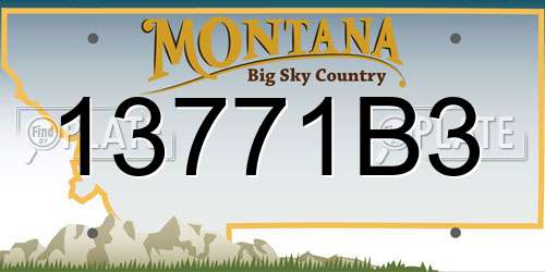 13771B3 Montana License Plate