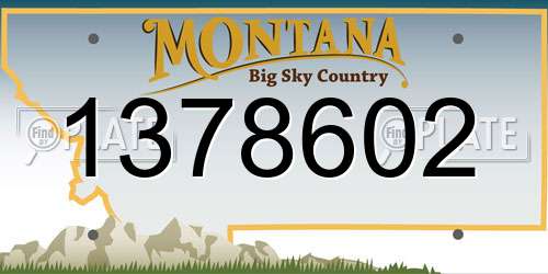 1378602 Montana License Plate