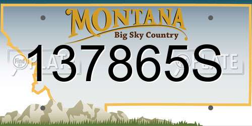 137865S Montana License Plate
