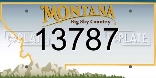 13787 Montana License Plate