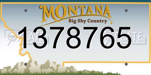 1378765 Montana License Plate