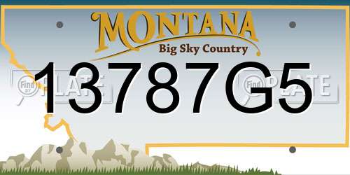 13787G5 Montana License Plate
