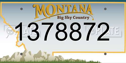 1378872 Montana License Plate