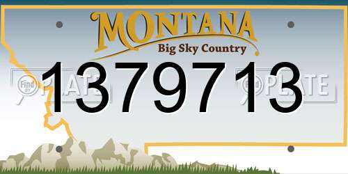 1379713 Montana License Plate