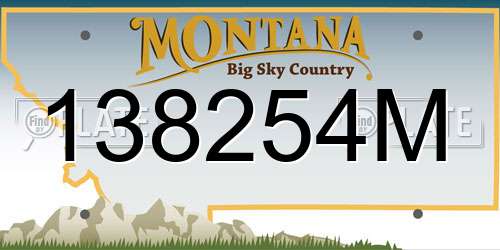 138254M Montana License Plate