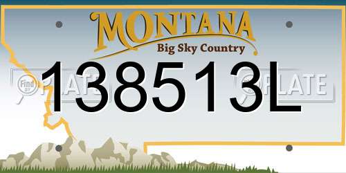 138513L Montana License Plate