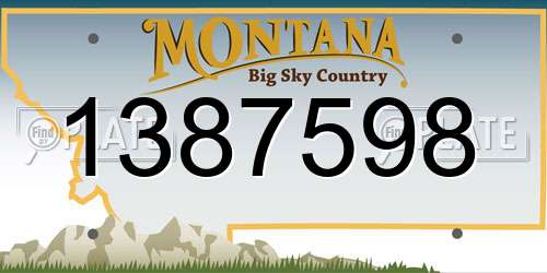 1387598 Montana License Plate