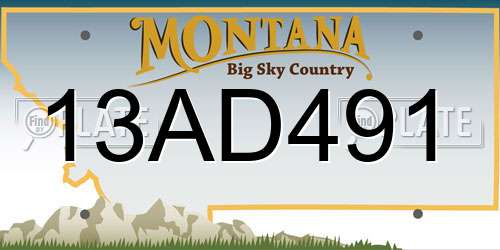 13AD491 Montana License Plate