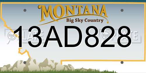 13AD828 Montana License Plate