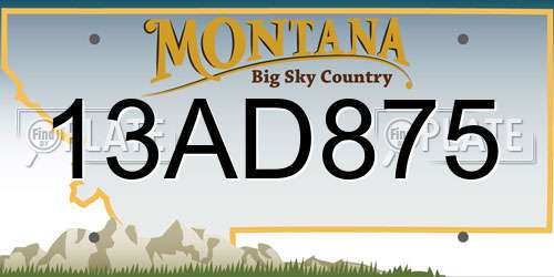 13AD875 Montana License Plate
