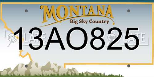 13AO825 Montana License Plate