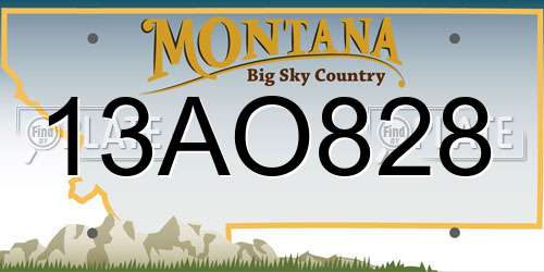 13AO828 Montana License Plate