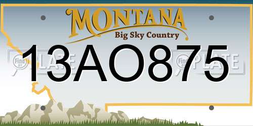 13AO875 Montana License Plate