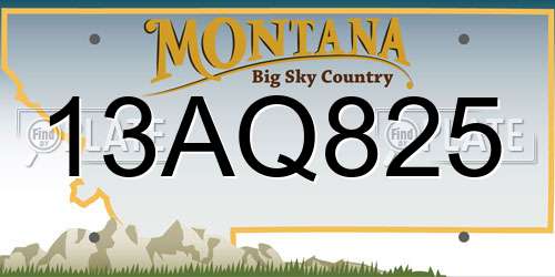 13AQ825 Montana License Plate