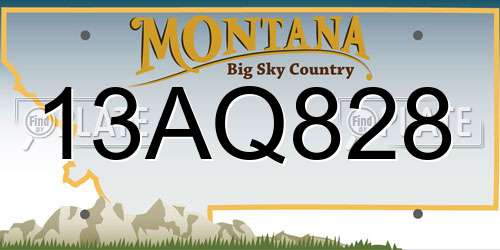 13AQ828 Montana License Plate