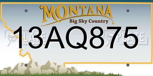 13AQ875 Montana License Plate