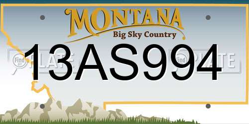 13AS994 Montana License Plate