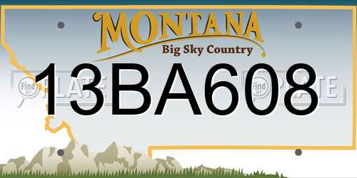 13BA608 Montana License Plate
